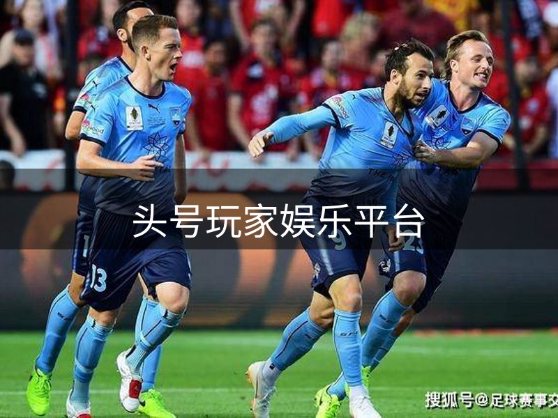 网站未来方向